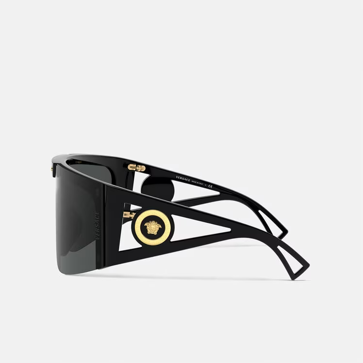 ICON SHIELD SUNGLASSES 1111