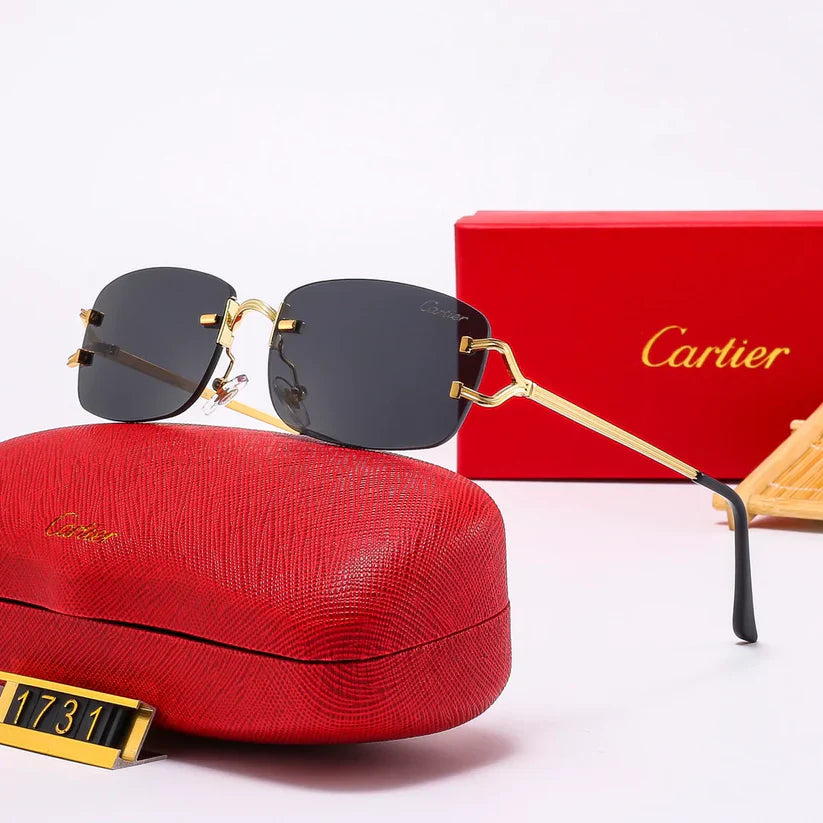 The new hottest trendy sunglasses 1731