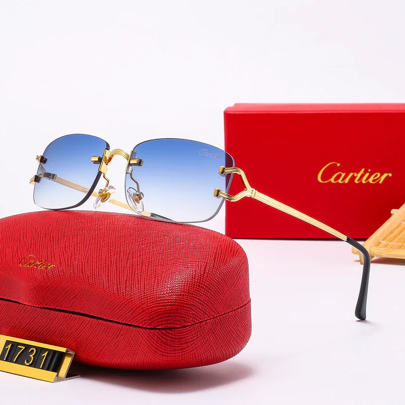 The new hottest trendy sunglasses 1731