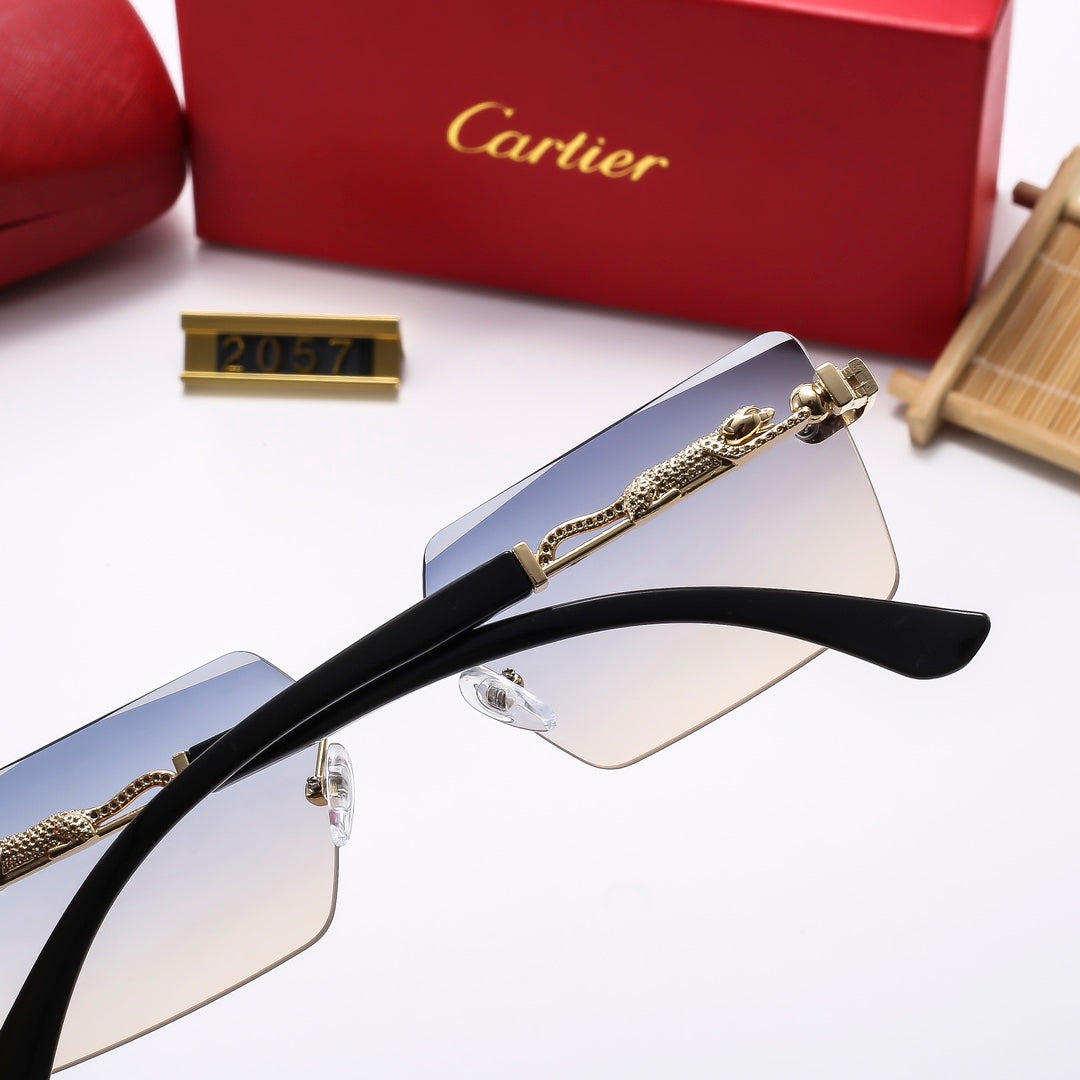 5 Colors Fashion Sunglasses—2058