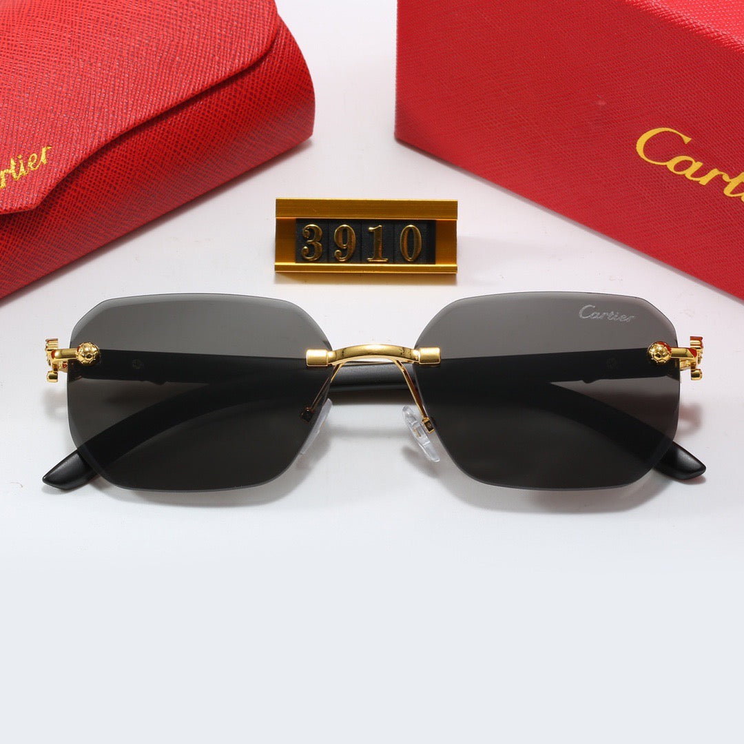 5 Colors Fashion Sunglasses—3910