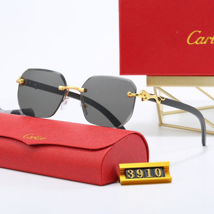 5 Colors Fashion Sunglasses—3910