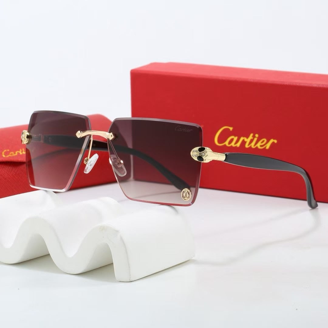 5 Colors Fashion Sunglasses—1025