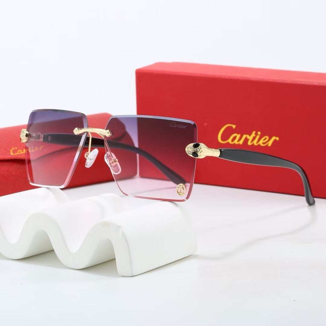 5 Colors Fashion Sunglasses—1025