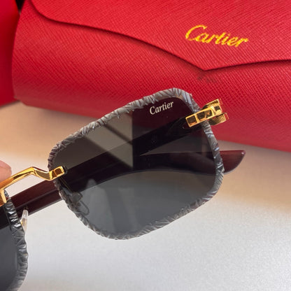 Cartier Rectangular 5-Color Premium Sunglasses ZS0007