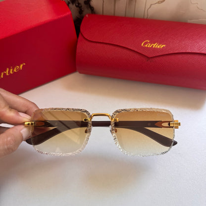 Cartier Rectangular 5-Color Premium Sunglasses ZS0007