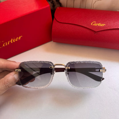 Cartier Rectangular 5-Color Premium Sunglasses ZS0007
