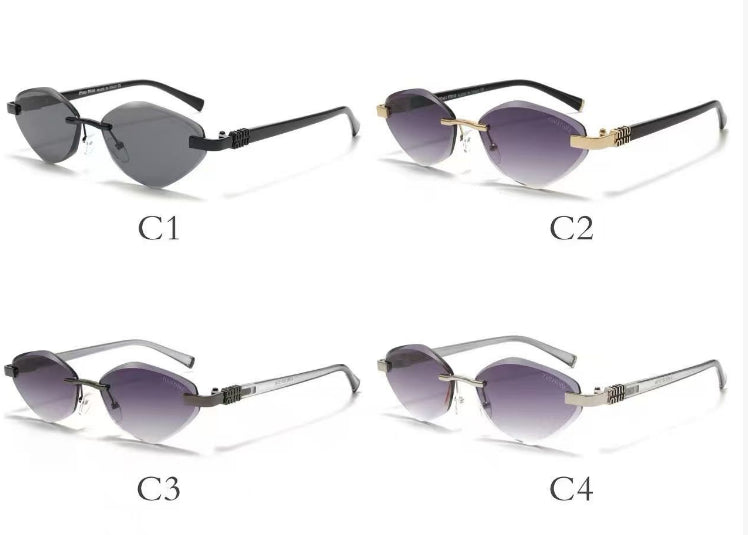 Exquisite Sunglasses with 4 Different Frame Colors ZS0005
