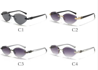 Exquisite Sunglasses with 4 Different Frame Colors ZS0005