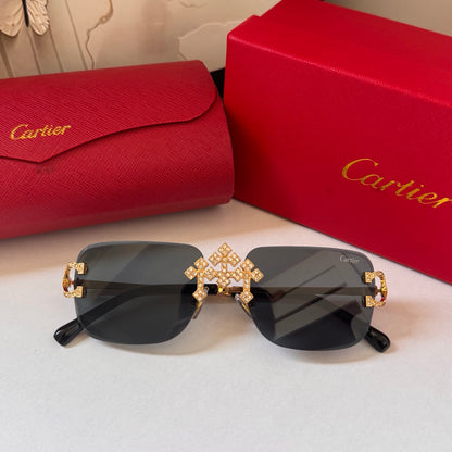 5 Colors transparent frame exquisite sunglasses  ZS0002
