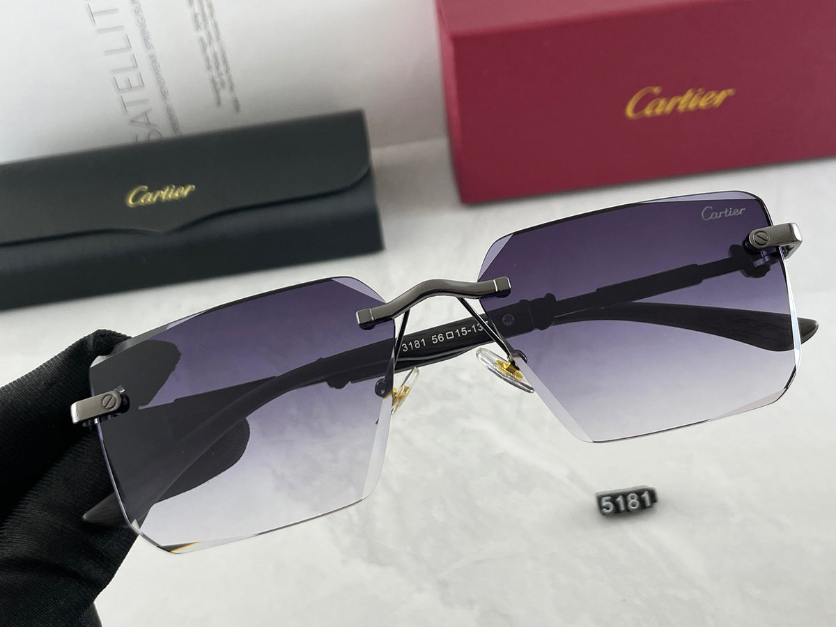 5 Colors  Fashion  Sunglasses 5181