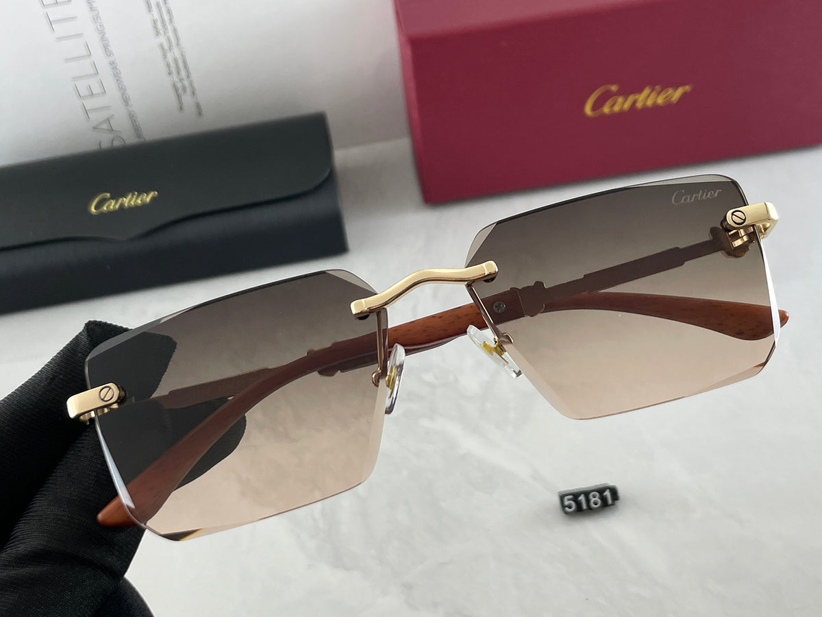 5 Colors Fashion Sunglasses 5008