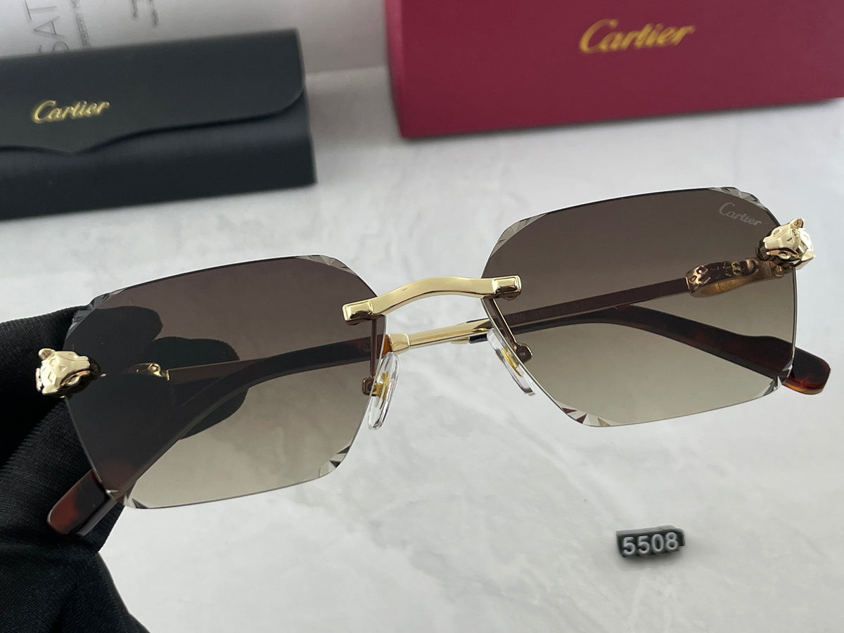 5 Colors Fashion Sunglasses 5008