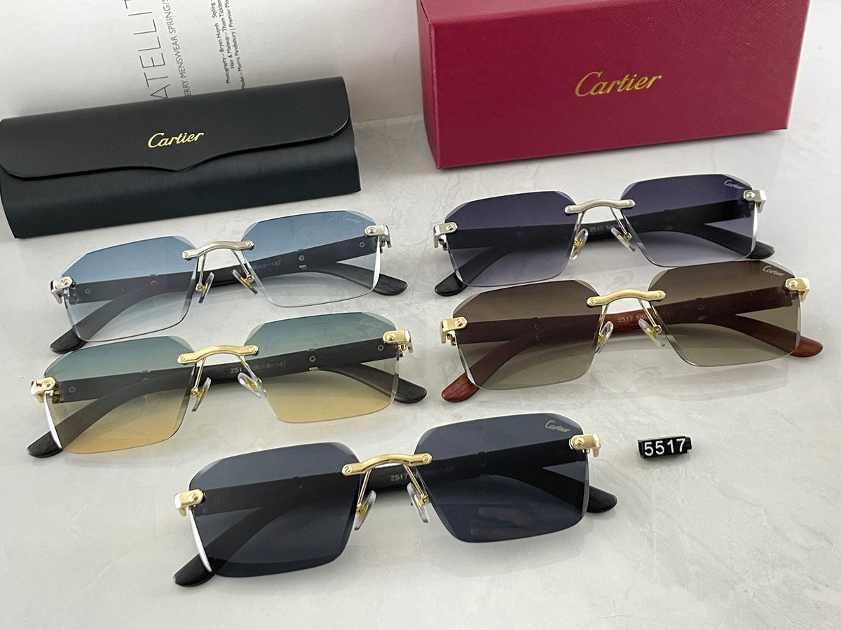 5 Colors  Fashion  Sunglasses 5517
