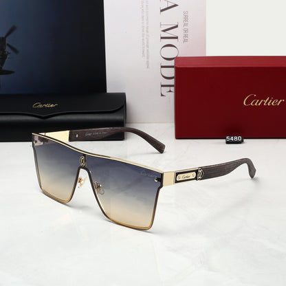 5 Colors Fashion Sunglasses 5008