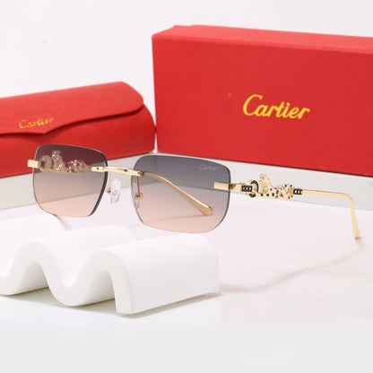 5 Colors Fashion Sunglasses ZS0013