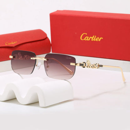 5 Colors Fashion Sunglasses ZS0013